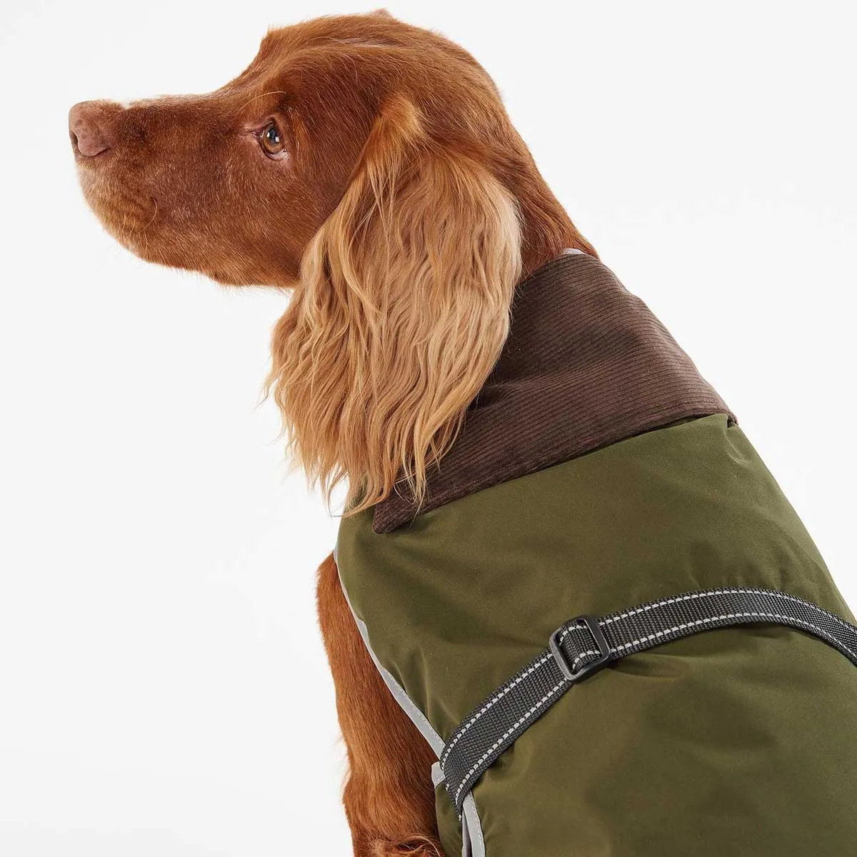 BARBOUR Monmouth Waterproof Dog Coat - Olive