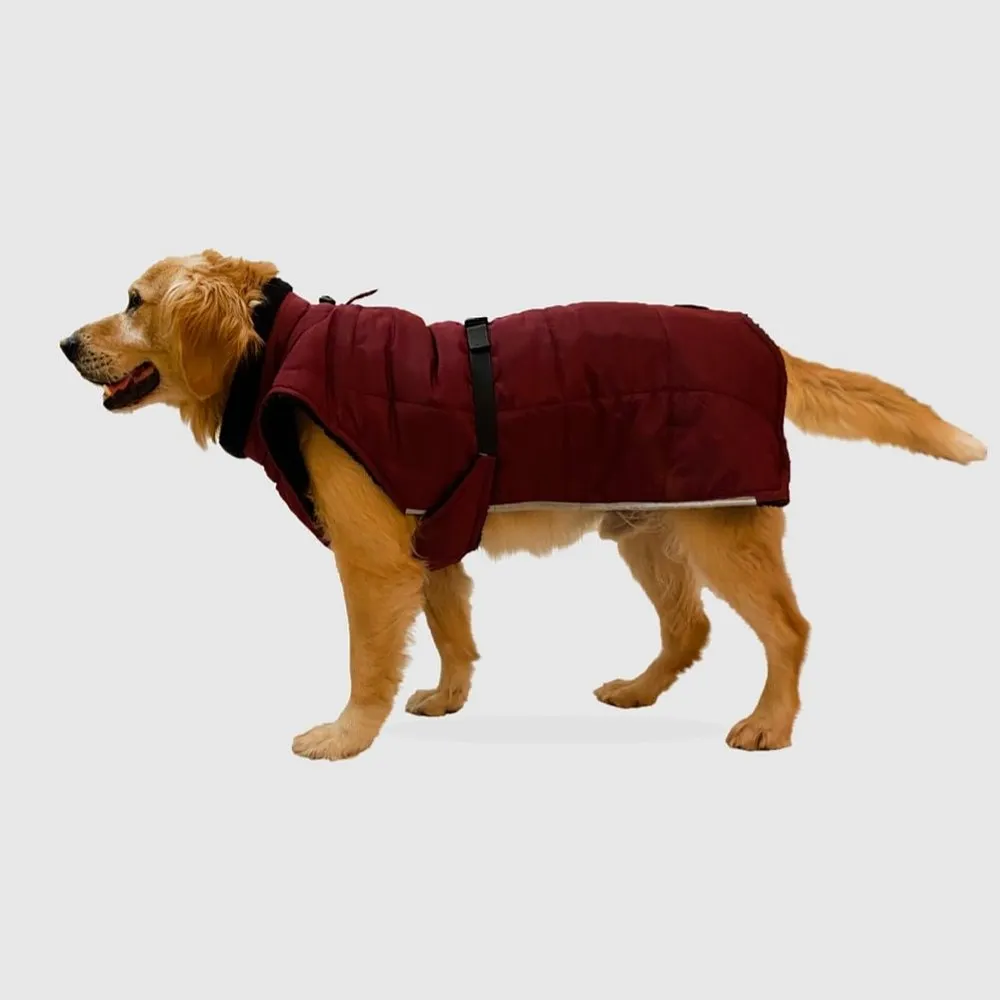 Burgundy Waterproof Coat