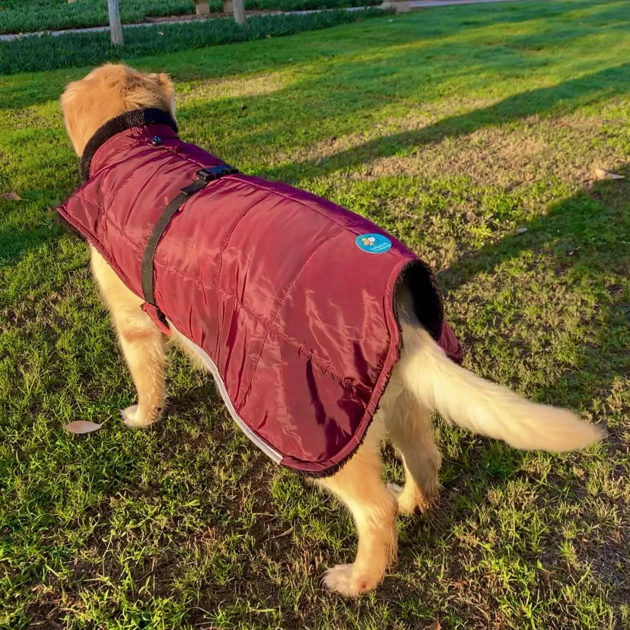 Burgundy Waterproof Coat